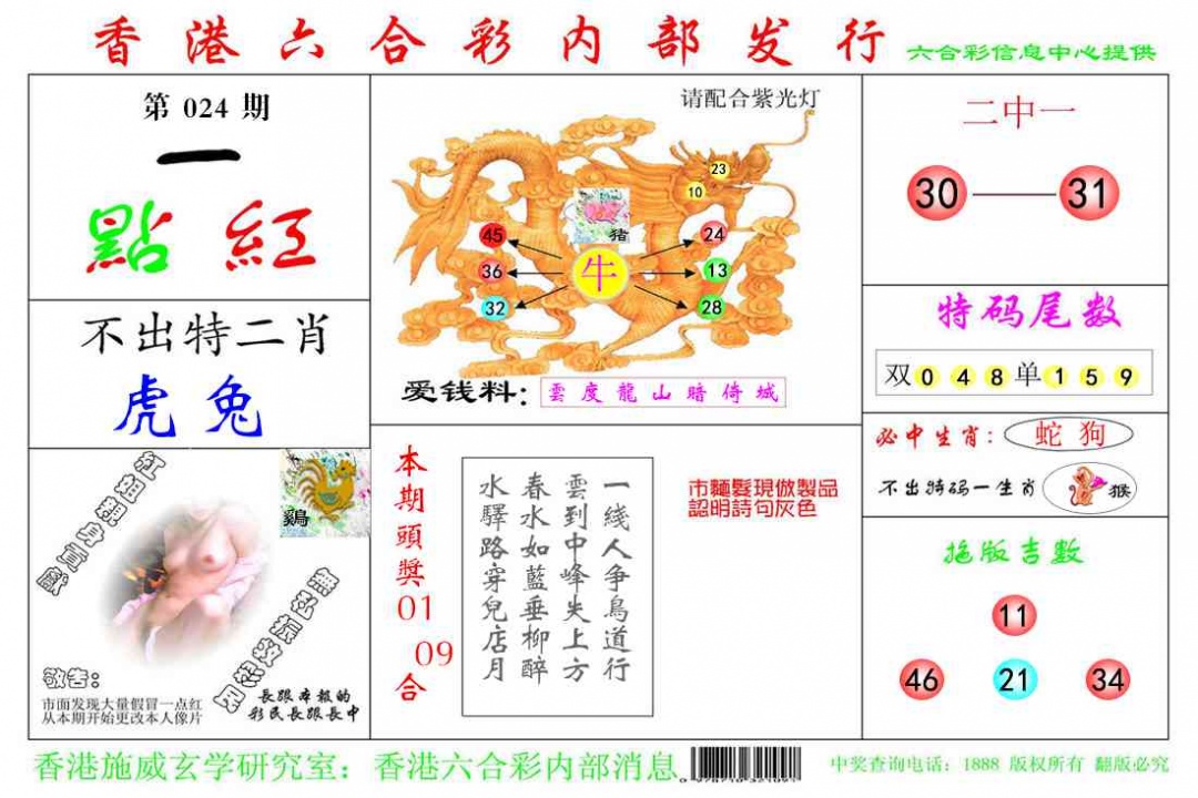 024期一点红[图]