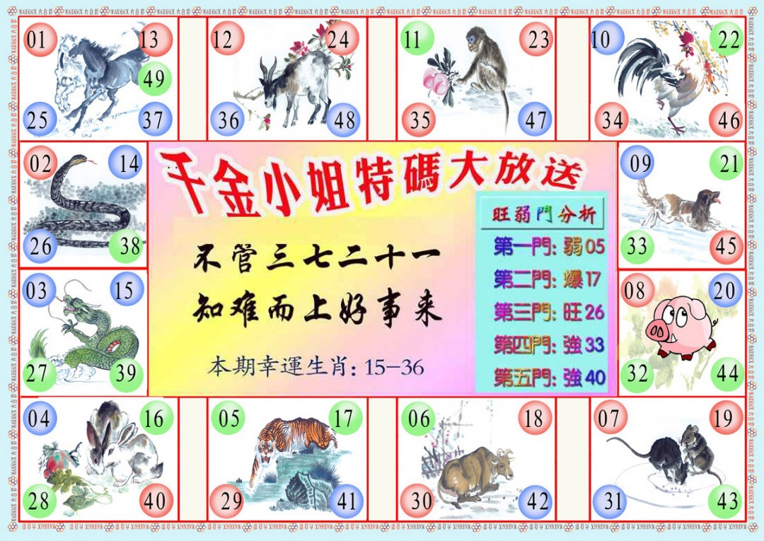 024期千金小姐B版[图]