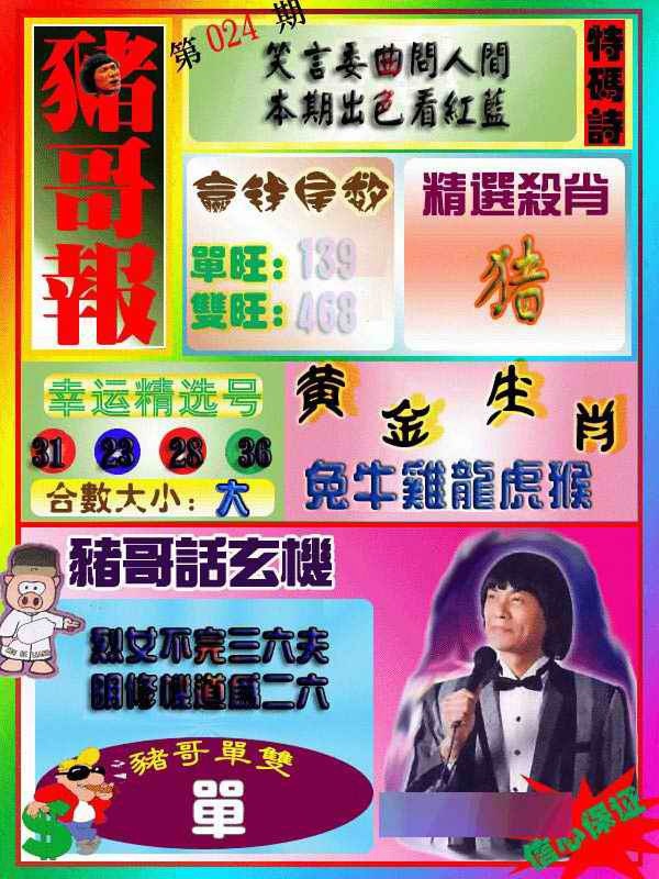 024期猪哥报[图]