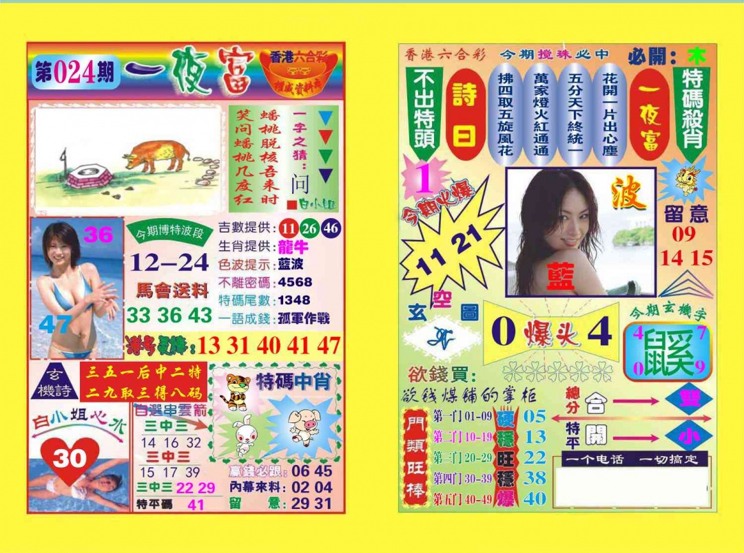 024期一夜富[图]