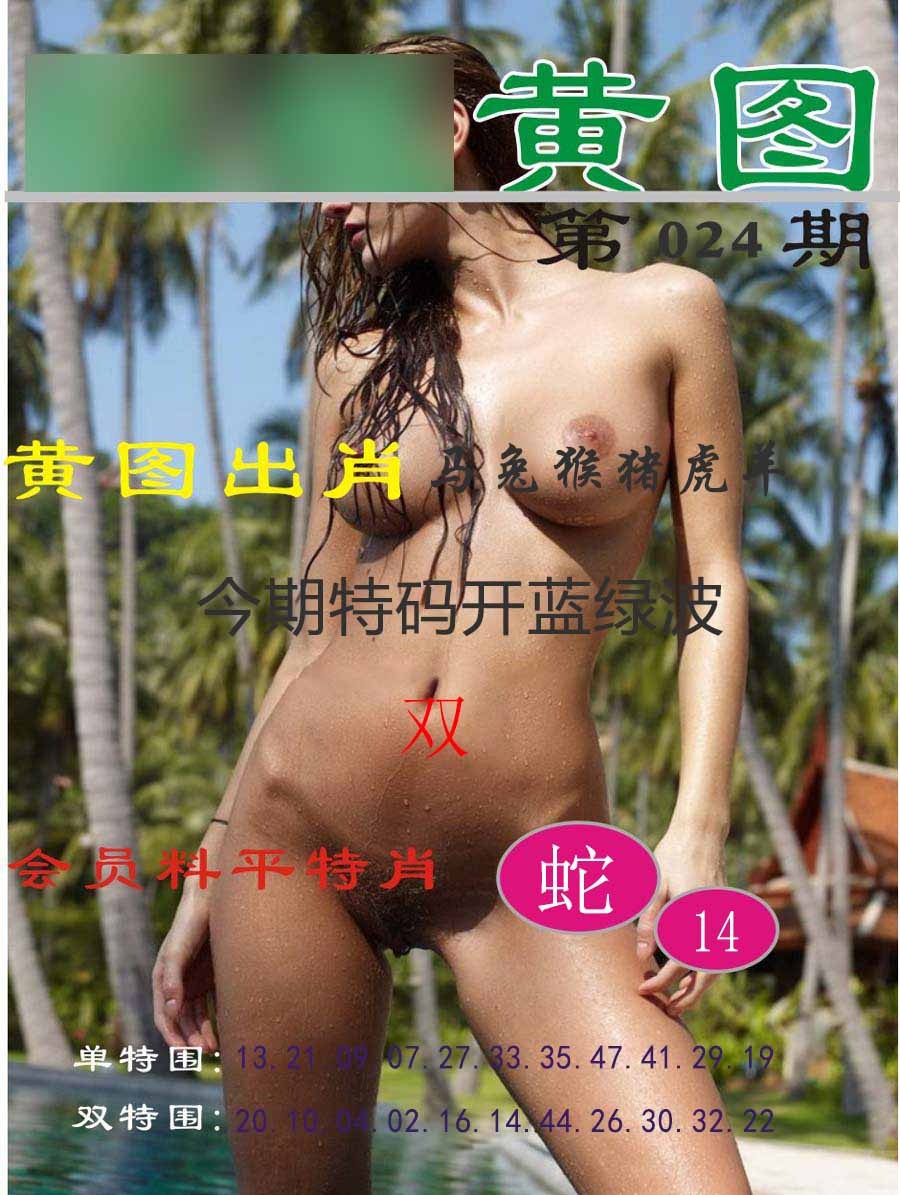 024期黄图[图]