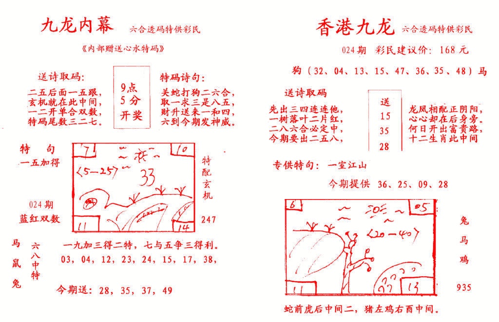 024期九龙内幕[图]