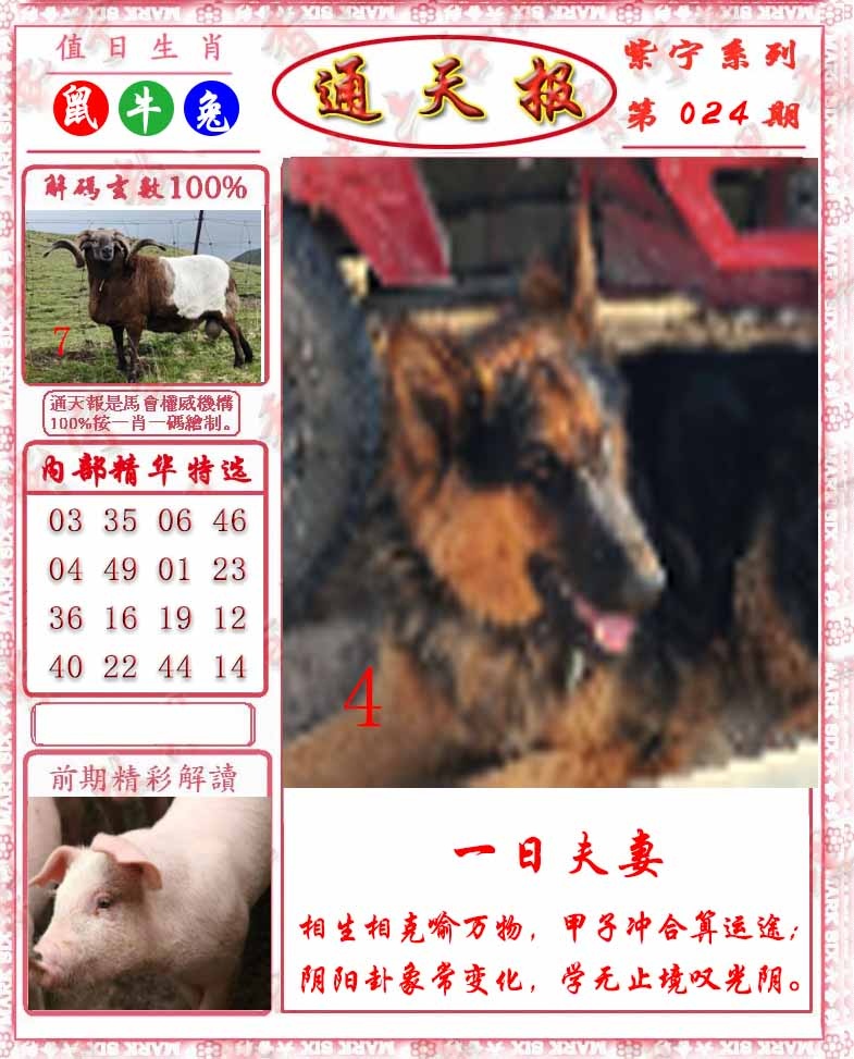 024期救通报[图]