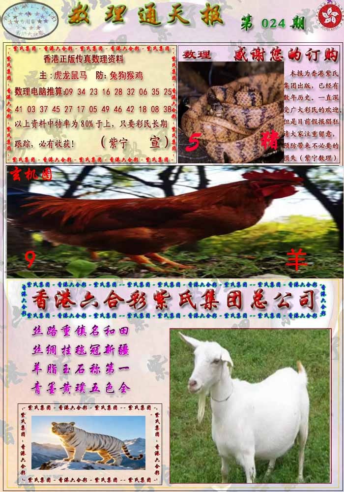 024期数通报[图]