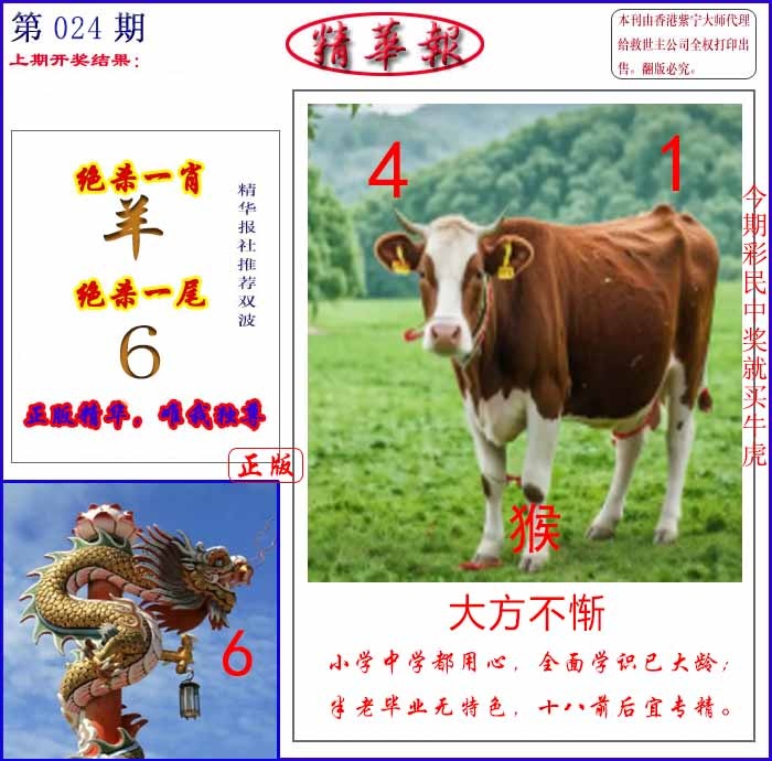 024期新精华报报[图]