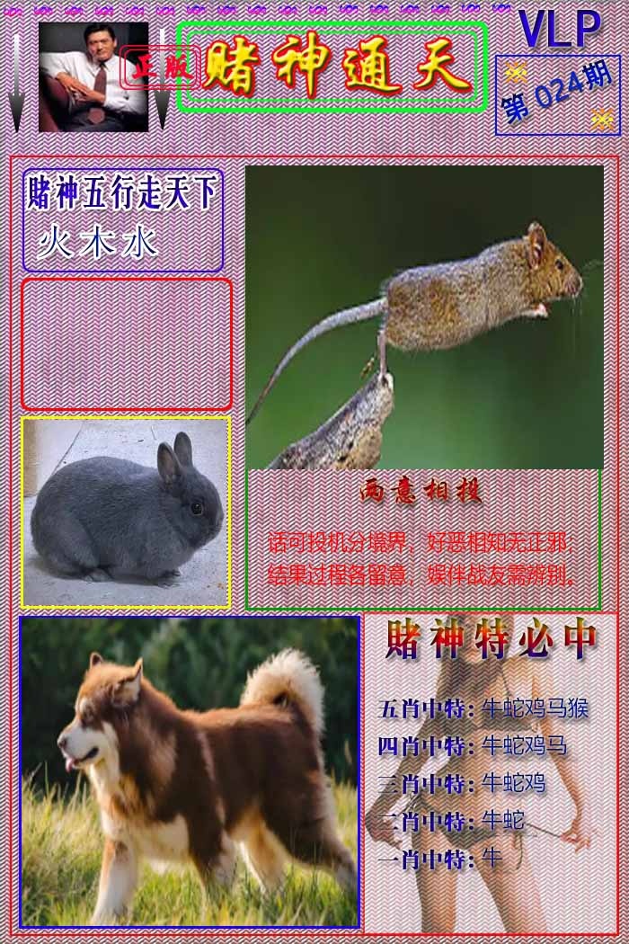 024期赌神通天报[图]