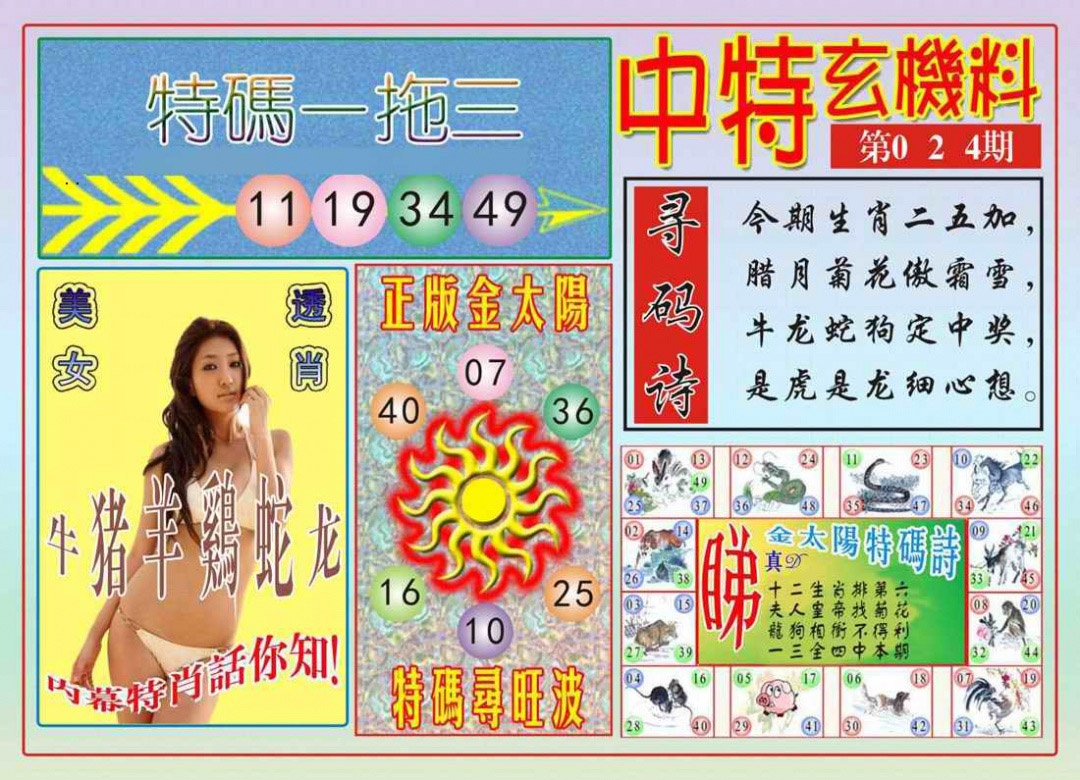 024期中特玄机料[图]