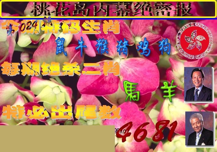 024期桃花岛内幕报[图]