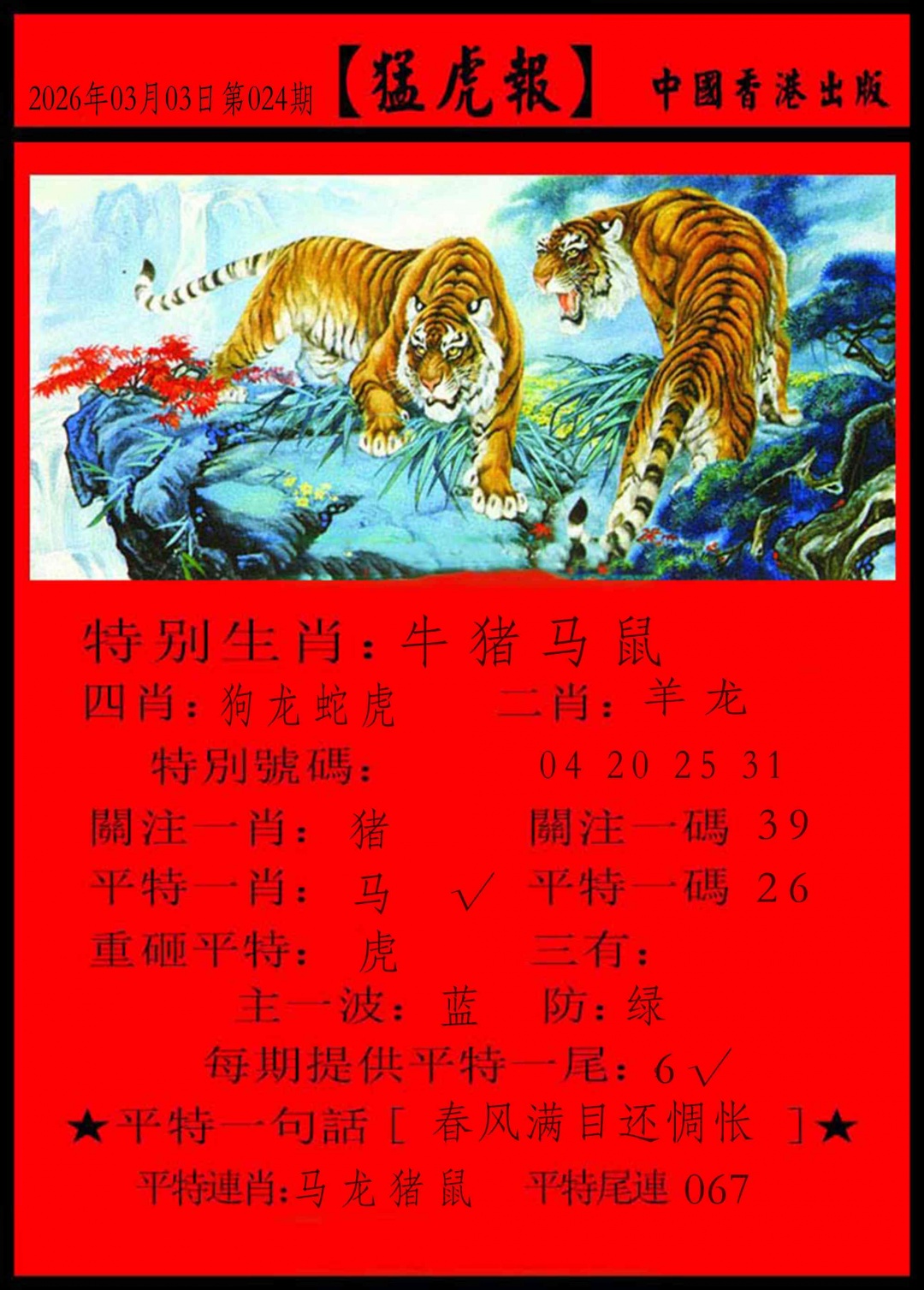 024期猛虎报[图]