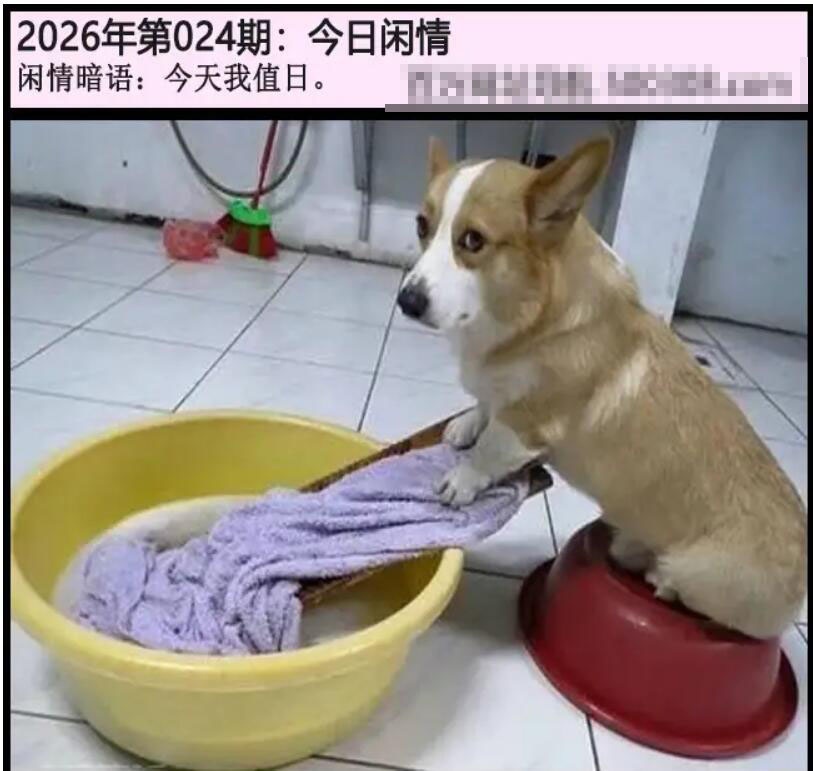 024期另版今日闲情[图]